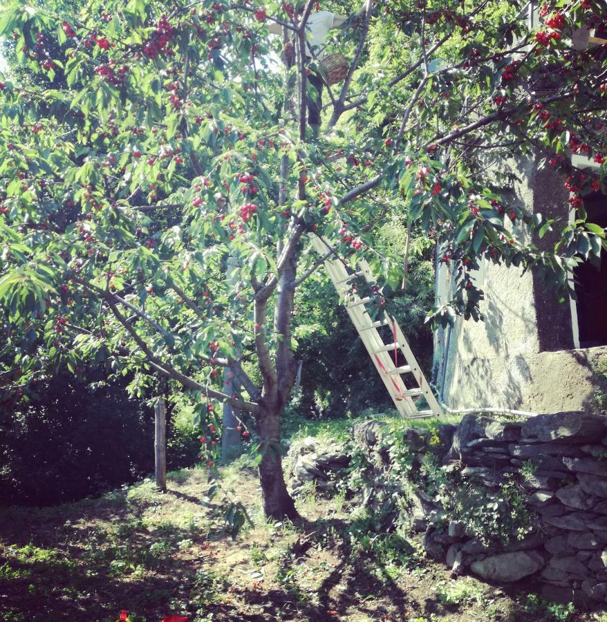 Berzuaia Bed & Breakfast Varazze Buitenkant foto