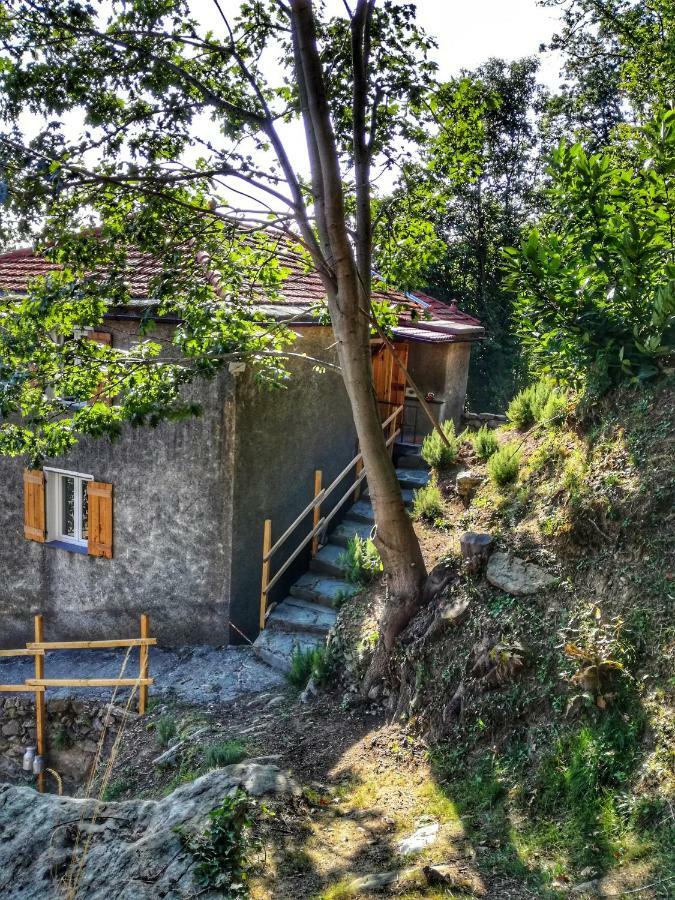 Berzuaia Bed & Breakfast Varazze Buitenkant foto