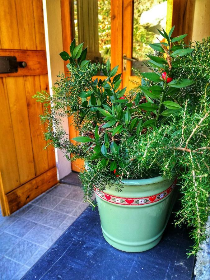 Berzuaia Bed & Breakfast Varazze Buitenkant foto