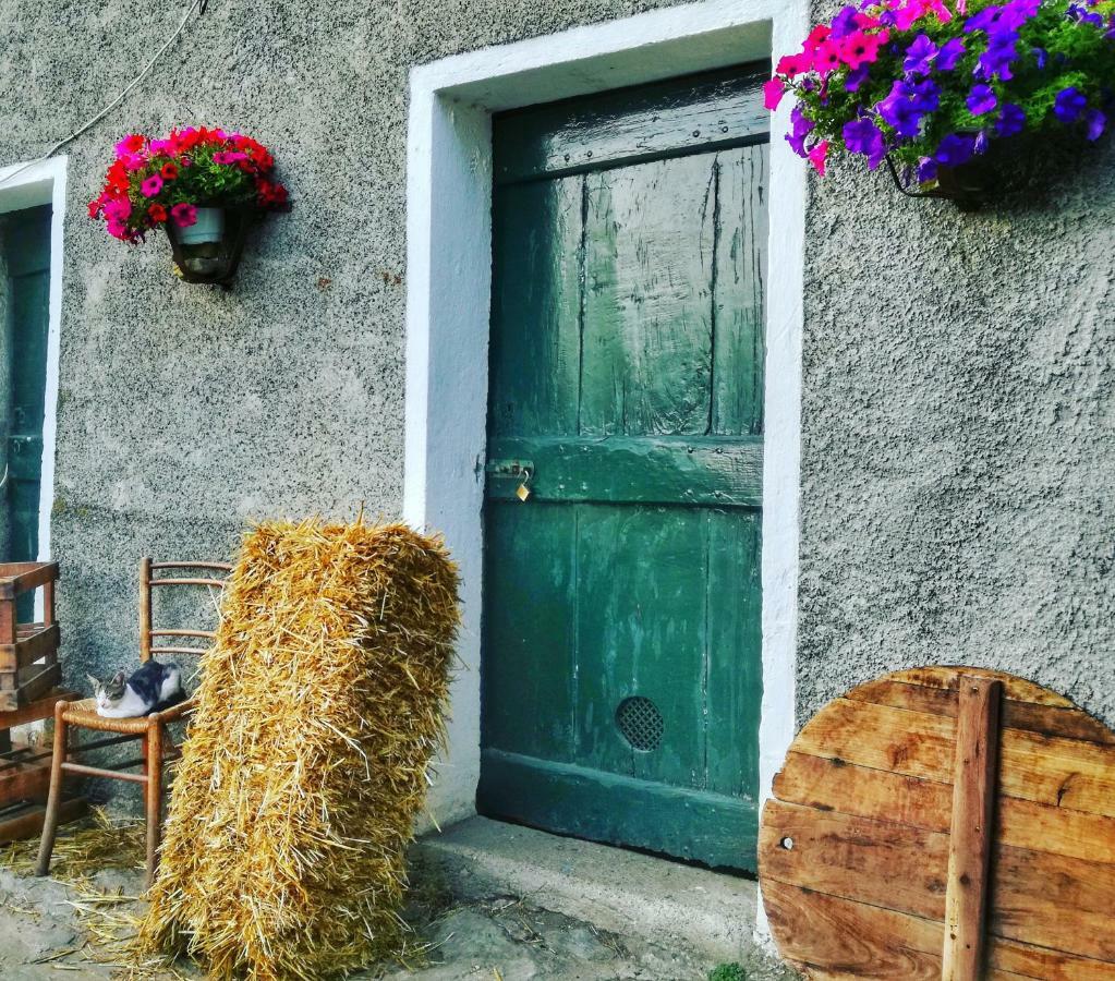 Berzuaia Bed & Breakfast Varazze Buitenkant foto