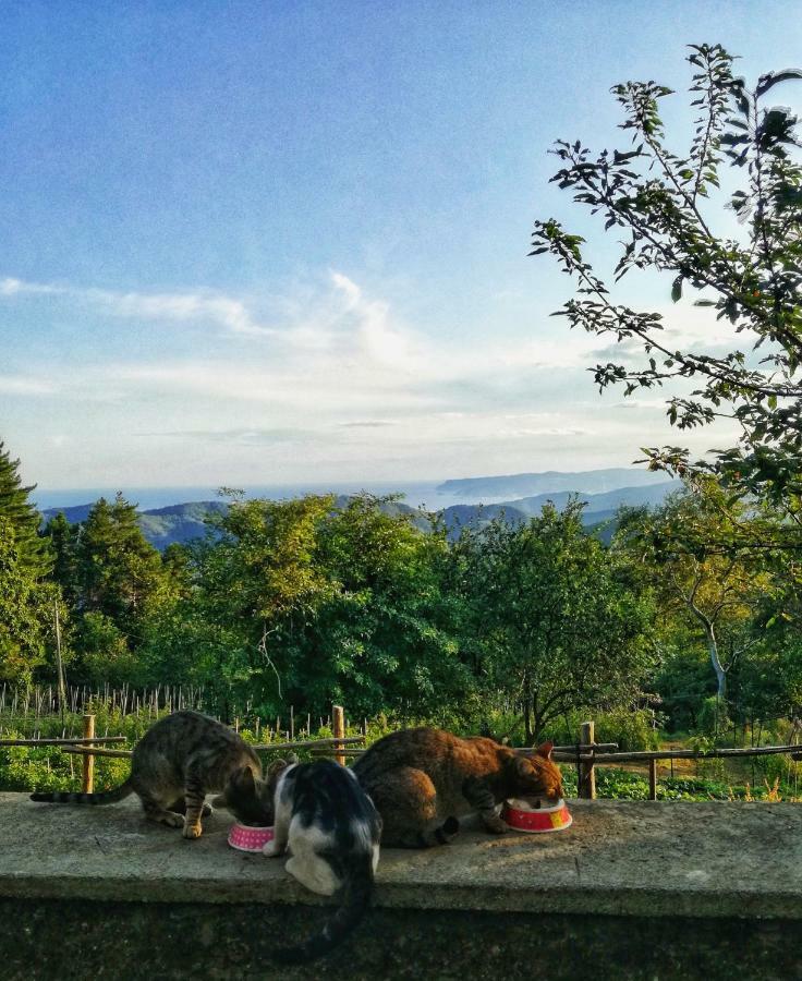 Berzuaia Bed & Breakfast Varazze Buitenkant foto